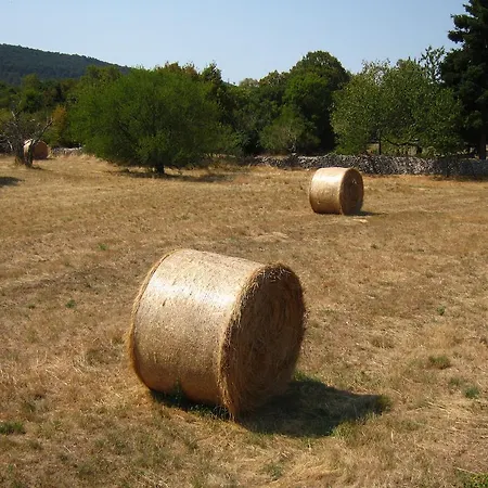 Stirenca Panzió Trieszt